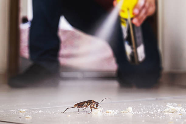San Rafael, NM Pest Control Company