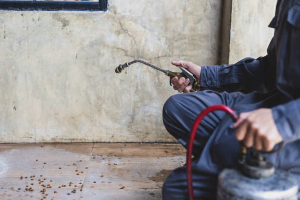 Best Pest Control Near Me in San Rafael, NM